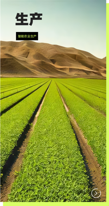 AISORT سورت‌کننده دید پرسرعت
